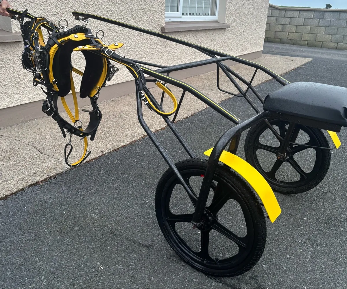 Brand new Pony Turn out - Image 1