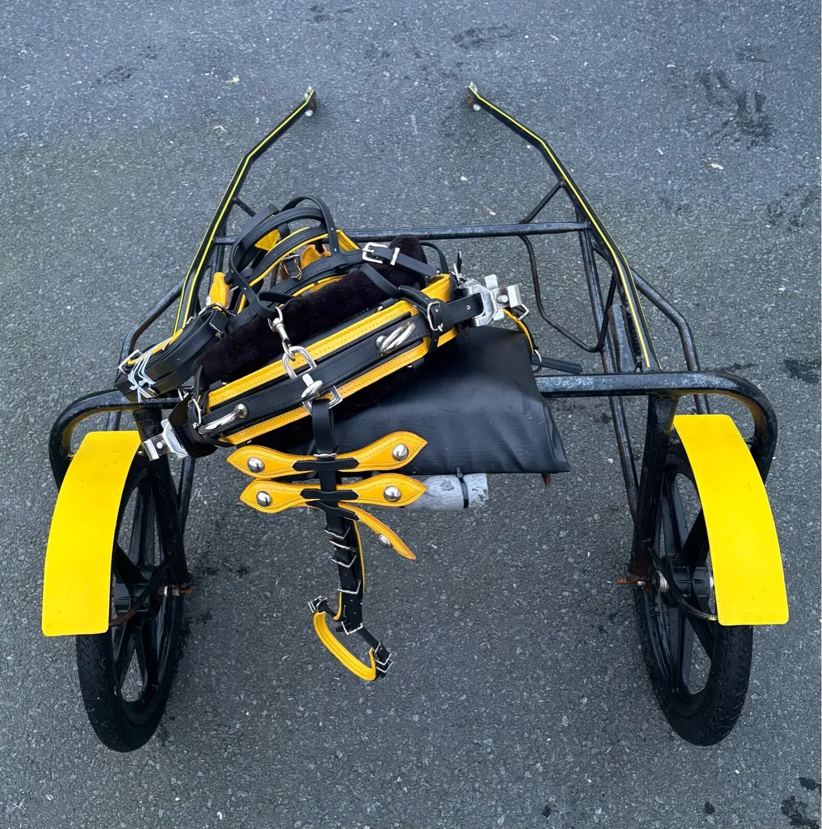 Brand new Pony Turn out - Image 3