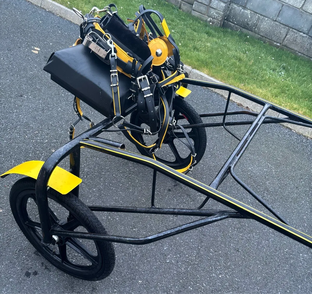 Brand new Pony Turn out - Image 4