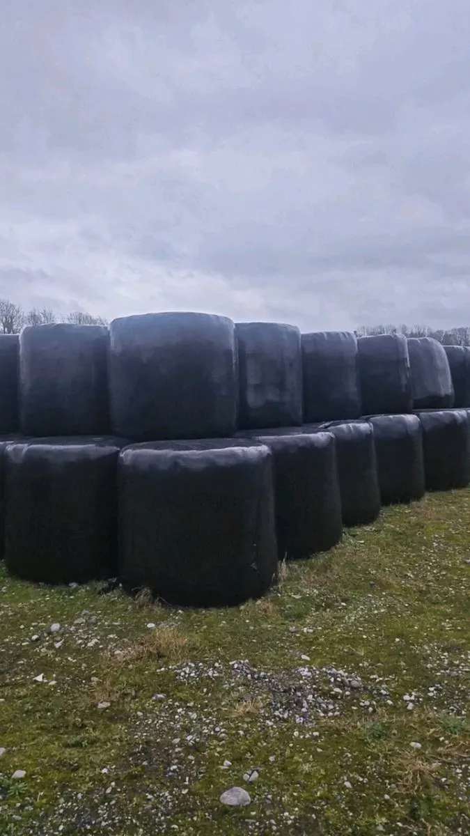 Top Quality Haylage. - Image 1