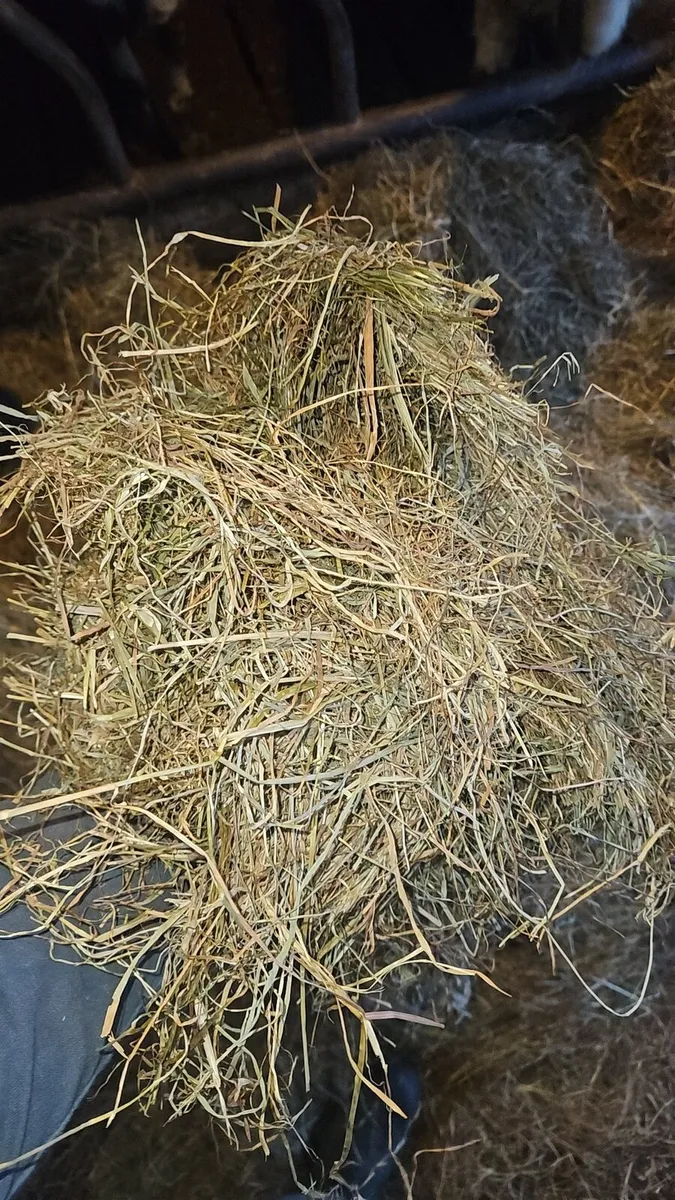 Top Quality Haylage. - Image 2