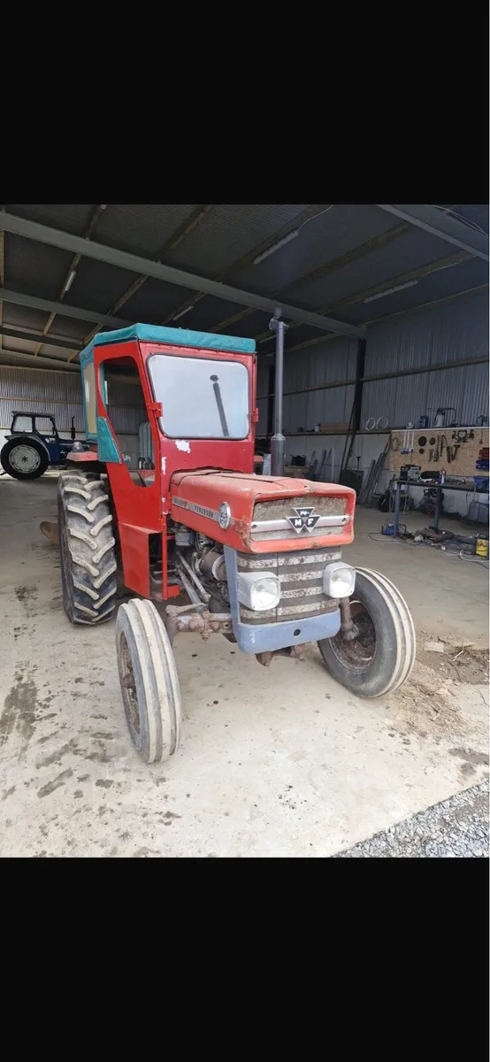 Massey Ferguson 135 - Image 2