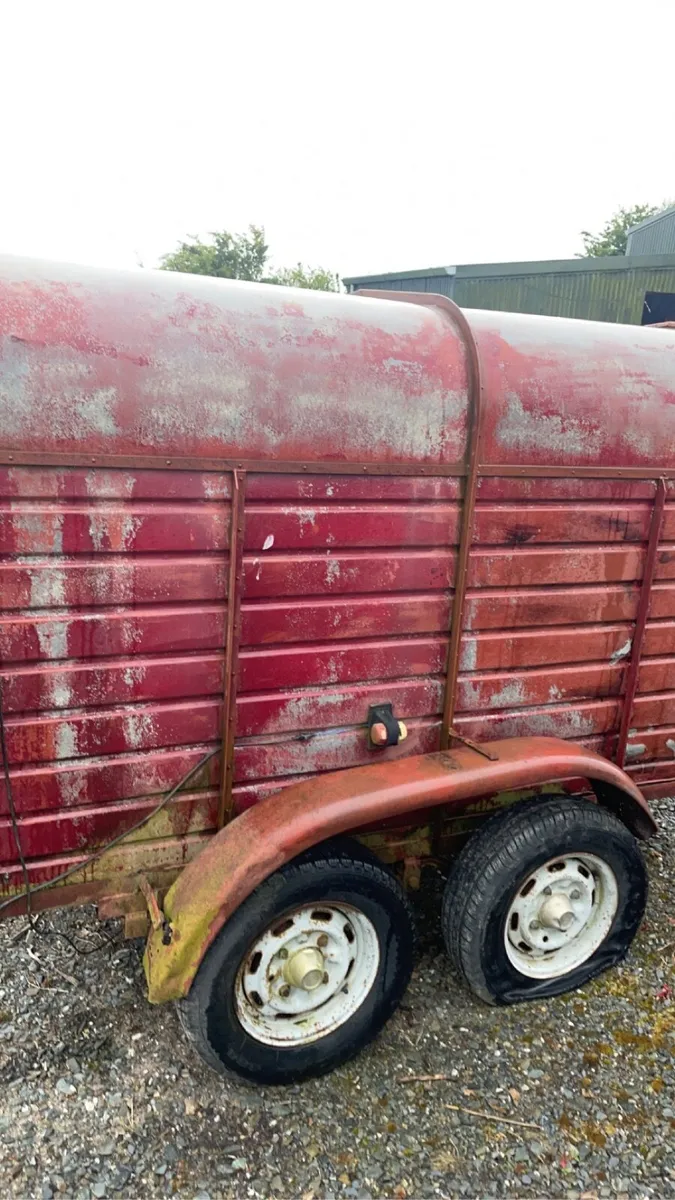 Sheep calf trailer for sale - Image 3