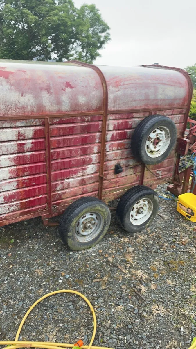 Sheep calf trailer for sale - Image 1