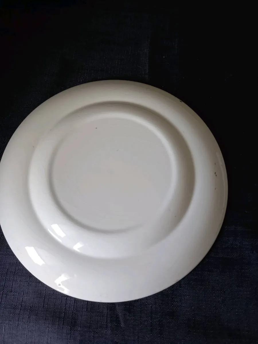 Turquoise Colour Quail Bird Plate - Image 2