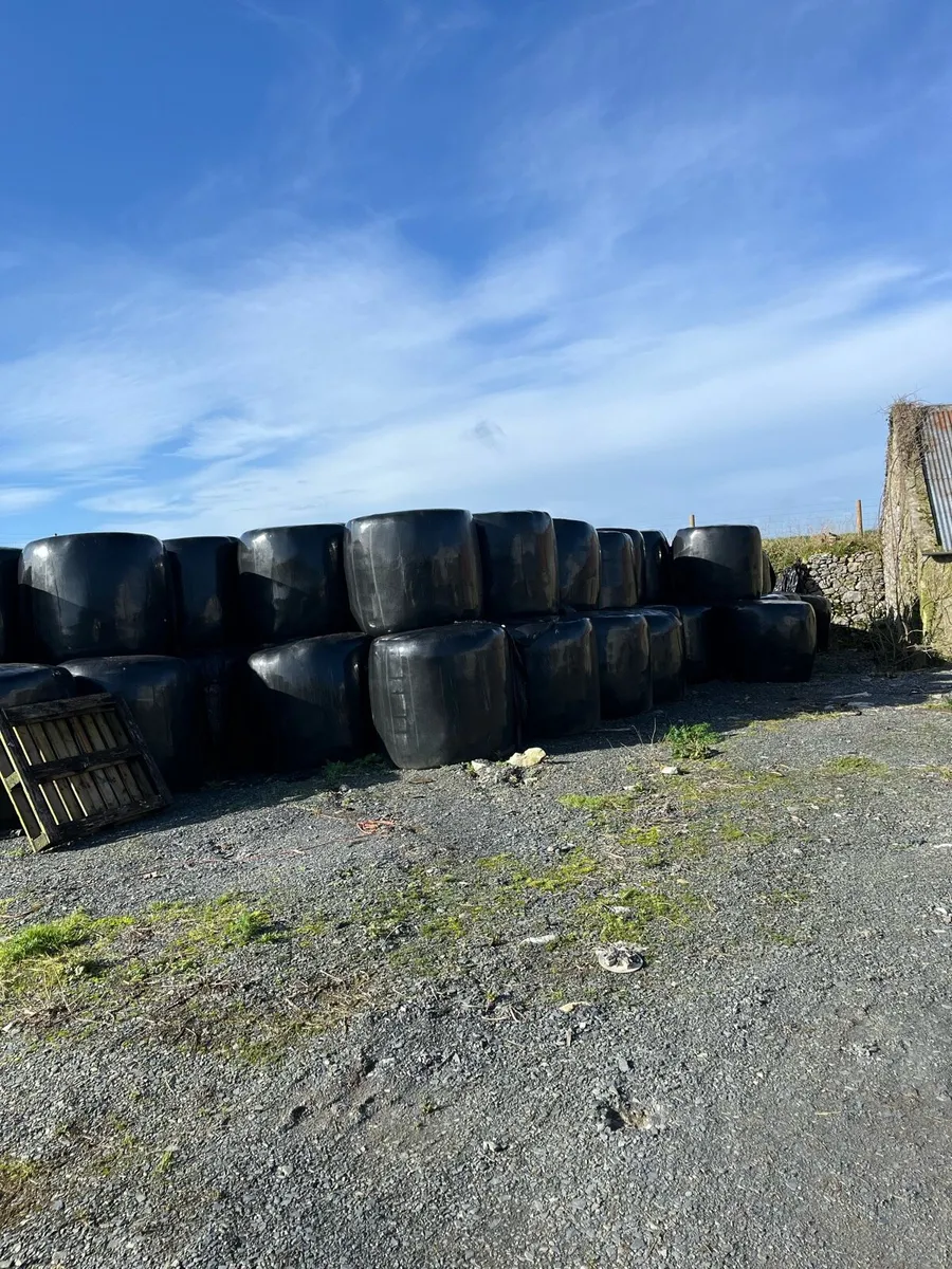 Bales of silage - Image 3