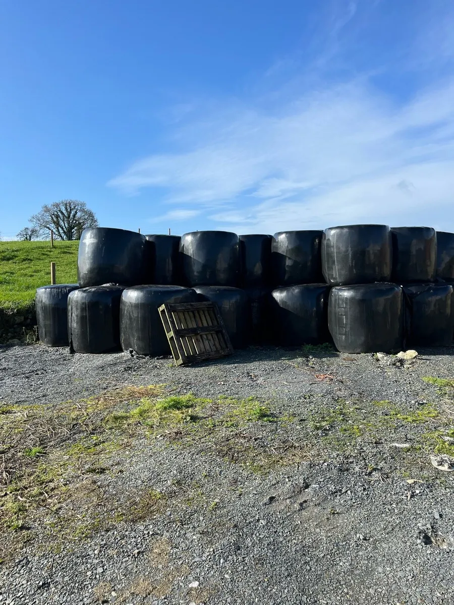 Bales of silage - Image 4