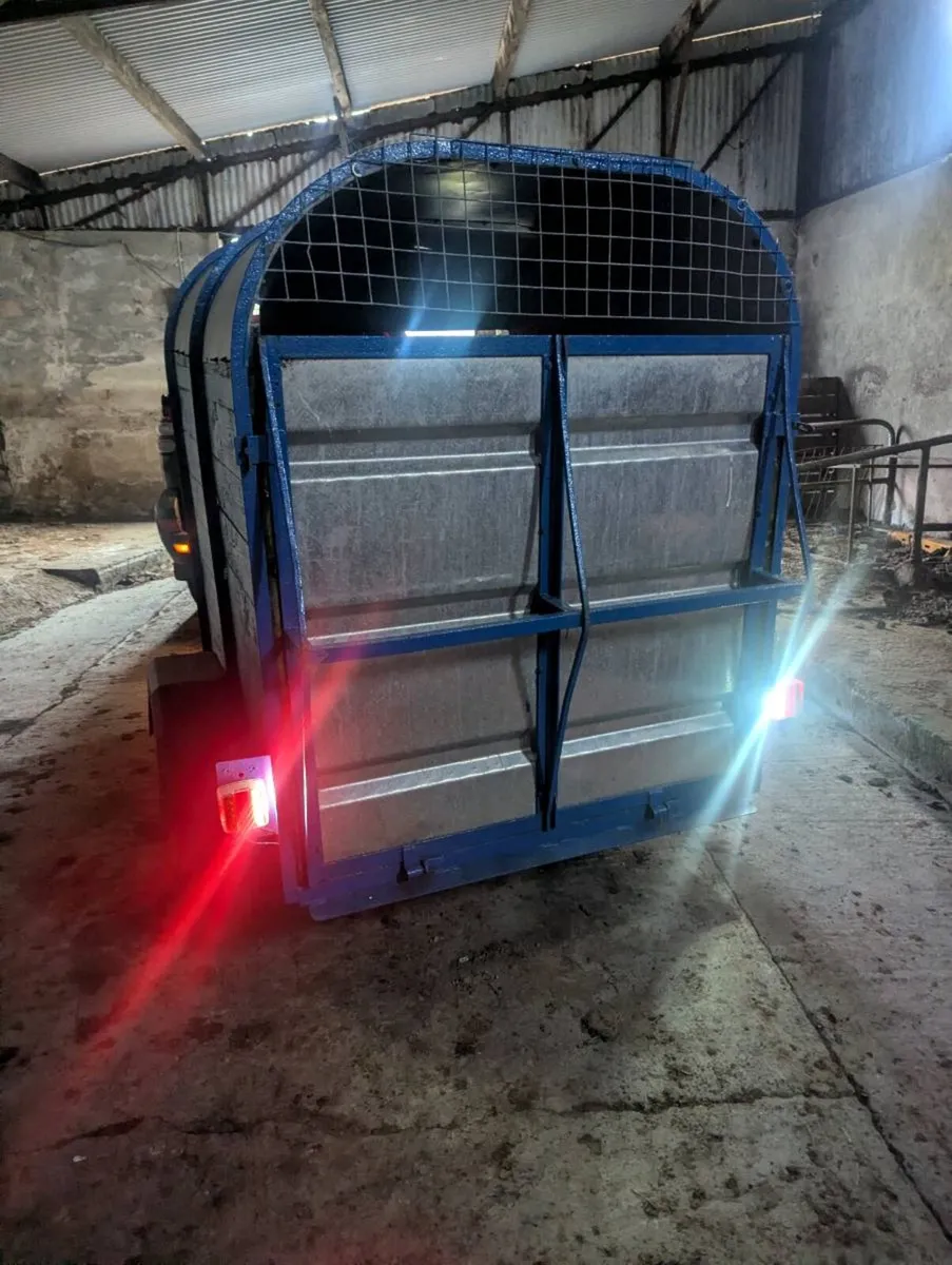 Cattle trailer - Image 4