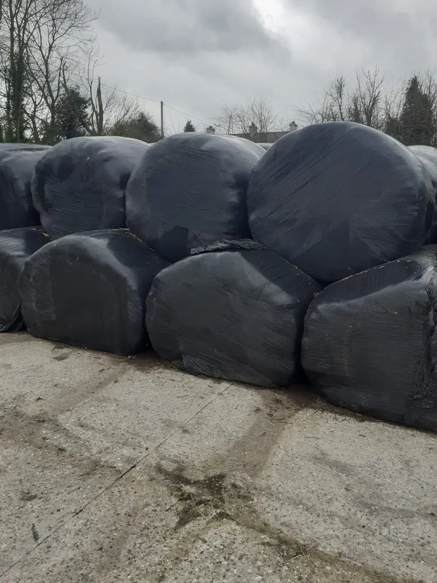 Wrapped silage bales - Image 2