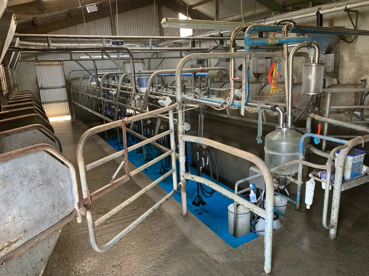 Stainless steel parlour feed troughs. - Image 2