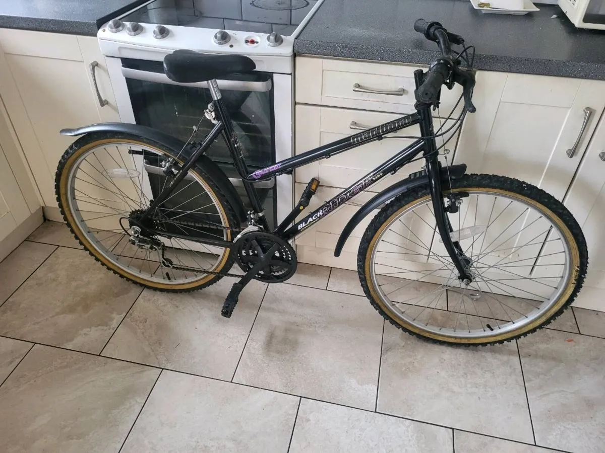 Ladies bike - Image 1