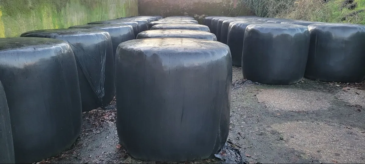 Round bale Haylage - Image 1