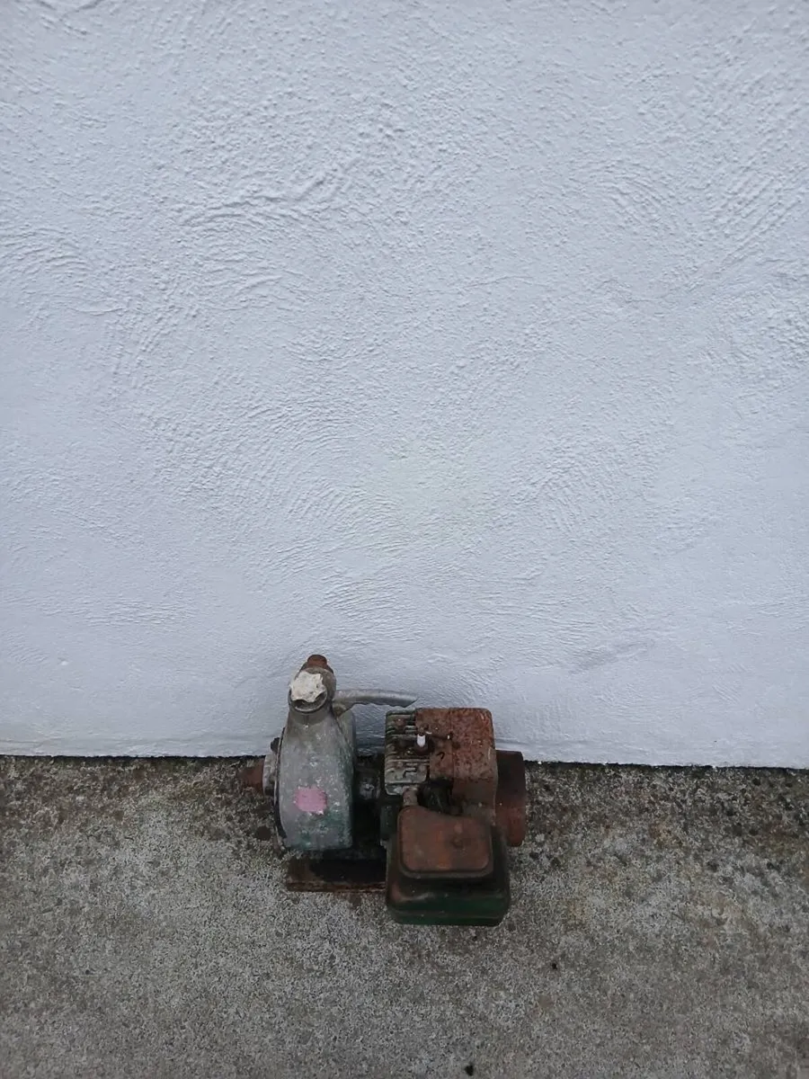 Briggs and stratton Water pump - Image 1