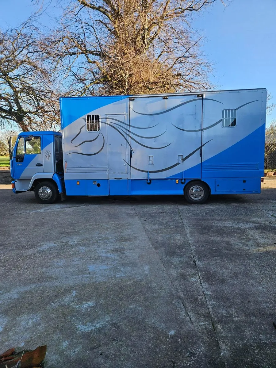 MAN 8.163 Horsebox for sale - Image 1