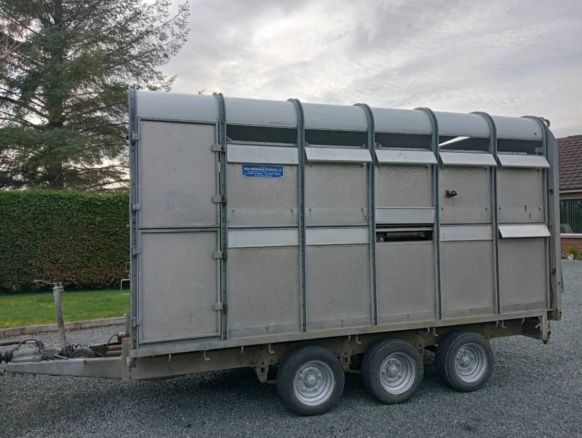 CATTLE TRAILER - Image 1