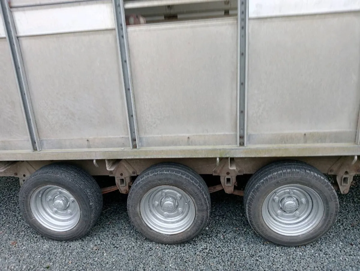 CATTLE TRAILER - Image 2