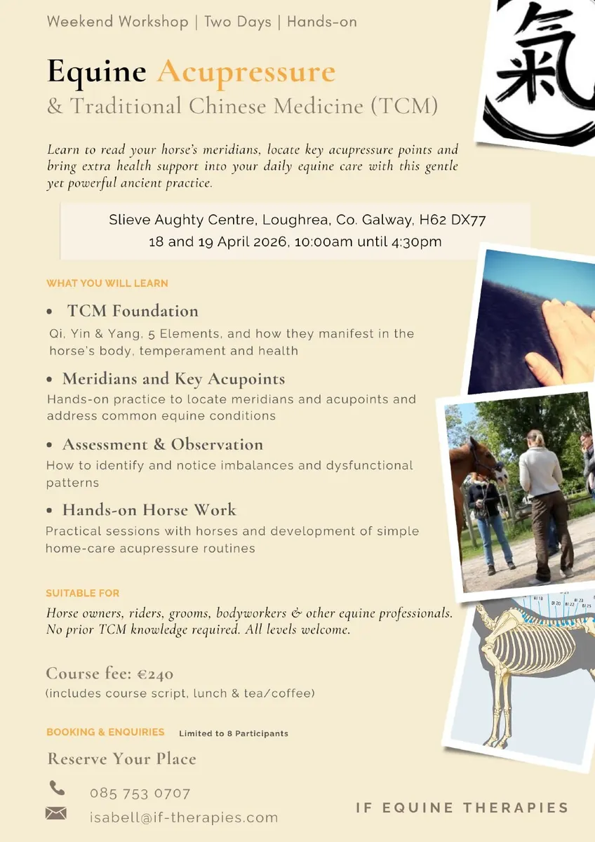 Equine Acupressure Workshop | 18 & 19 April 2026 - Image 1