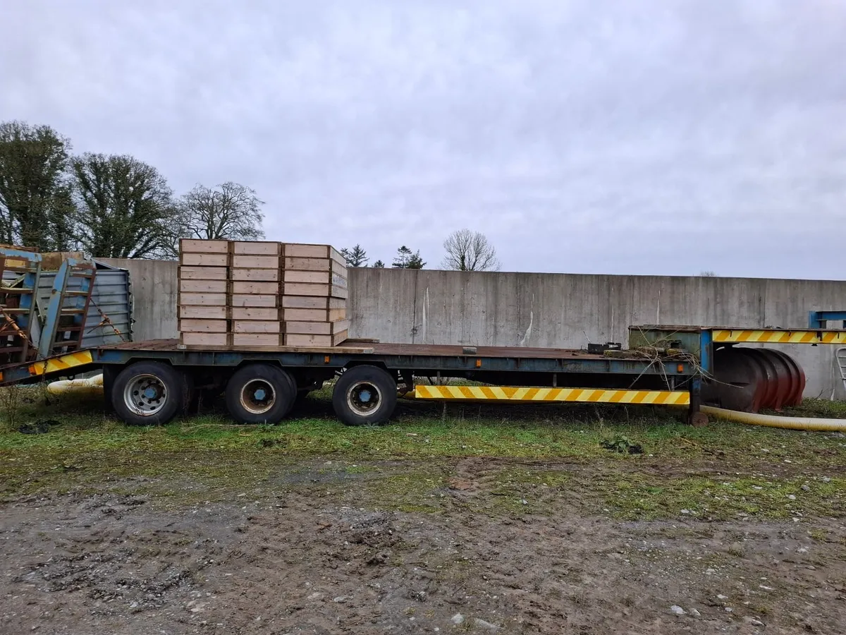 Low loader - Image 1
