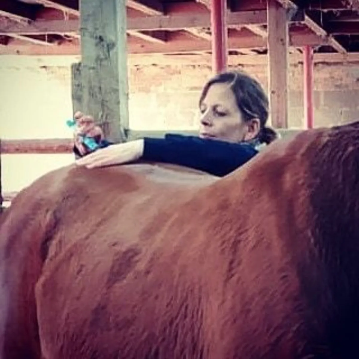 Equine Acupressure Workshop | 18 & 19 April 2026 - Image 4