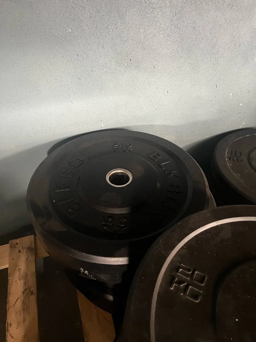 BUMPER PLATES LAST ONES - Image 4