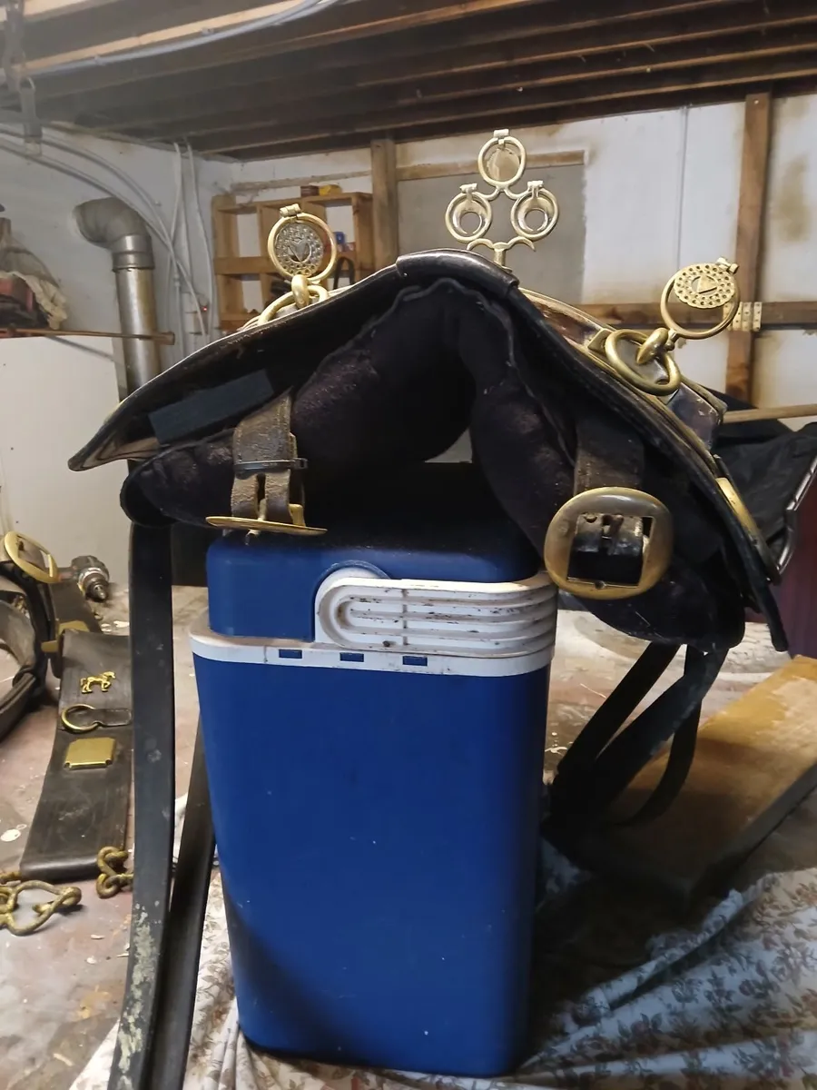 Set of working horse harness - Image 1