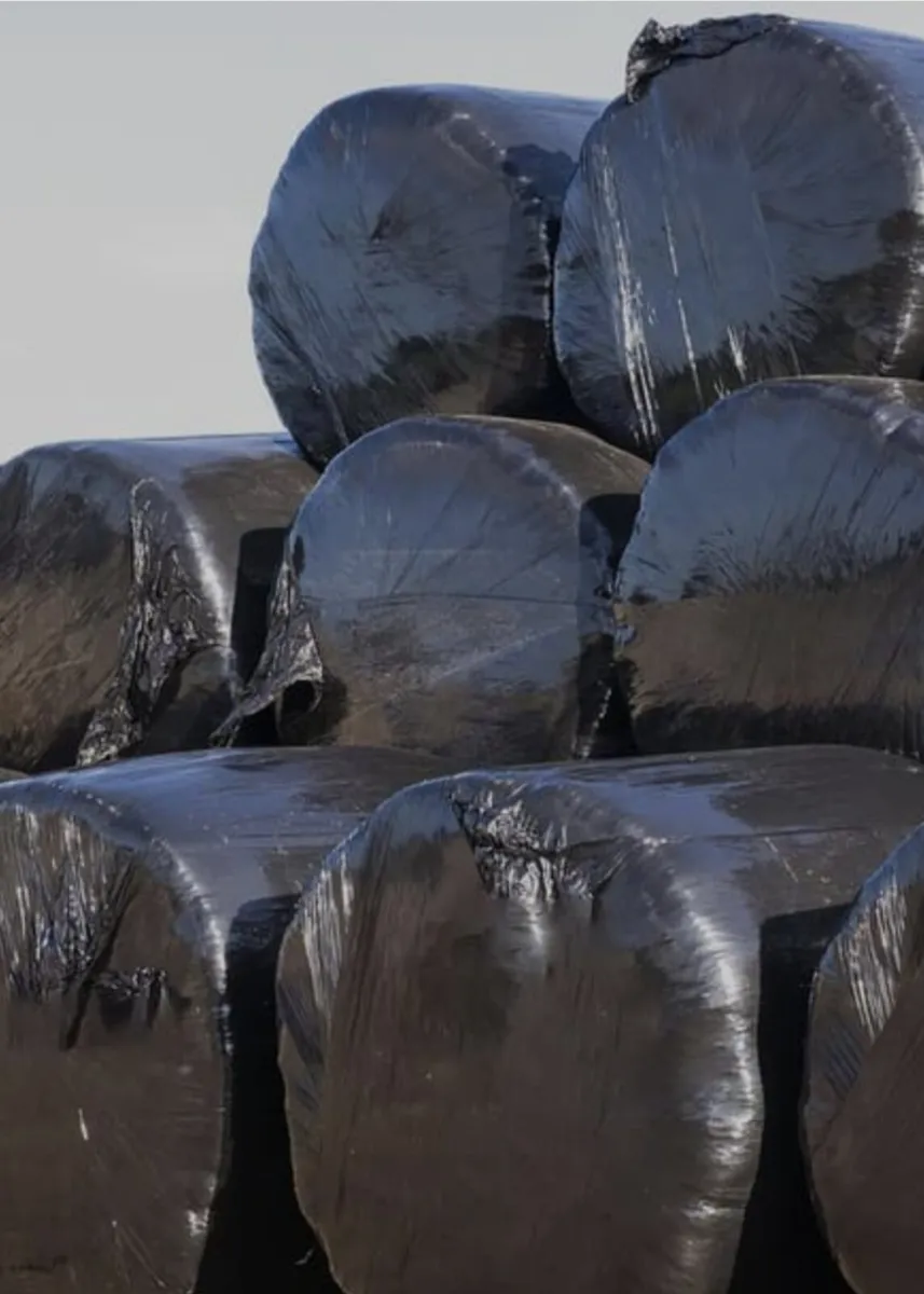 Silage bales for sale