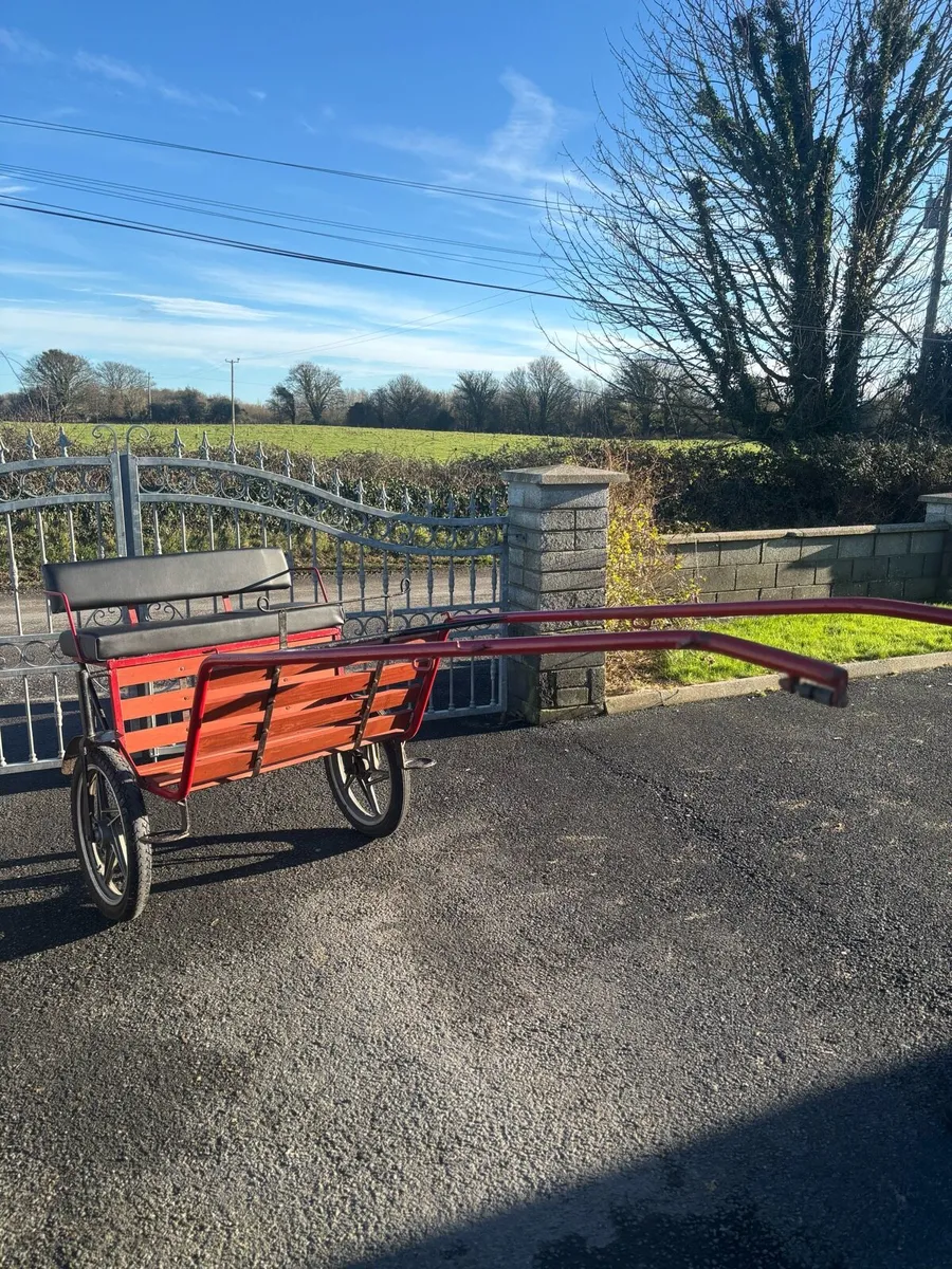 New Duhig road cart - Image 2