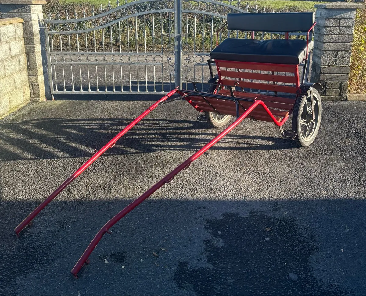 New Duhig road cart - Image 3