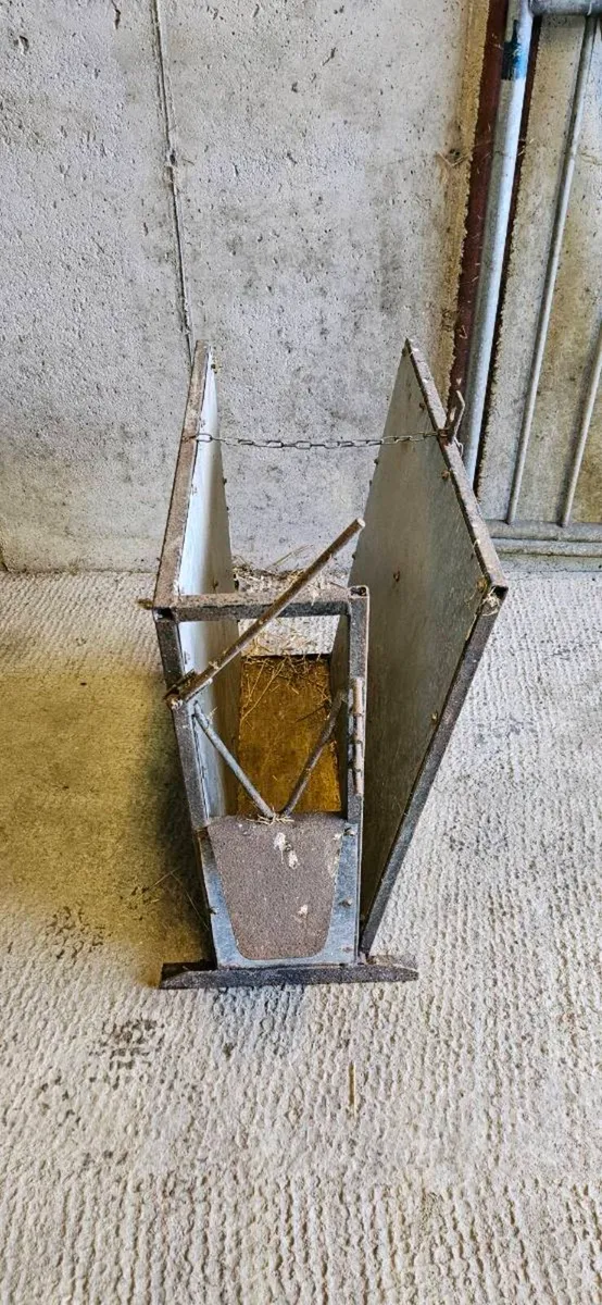 Dehorning Crate Good Condition - Image 1