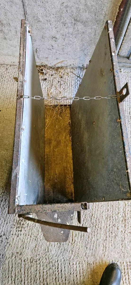 Dehorning Crate Good Condition - Image 4