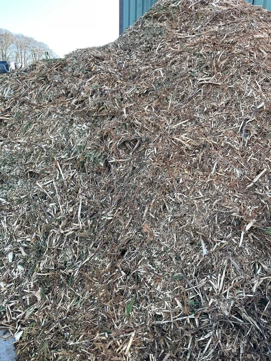 wood chip