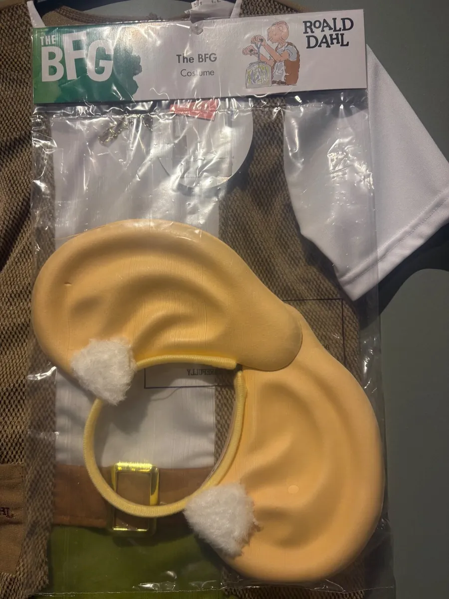 World Book day costume: The BFG - Image 2