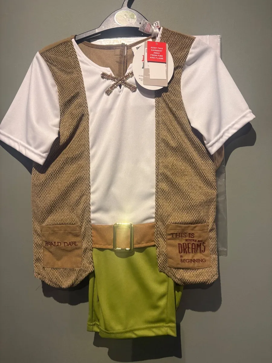 World Book day costume: The BFG - Image 3