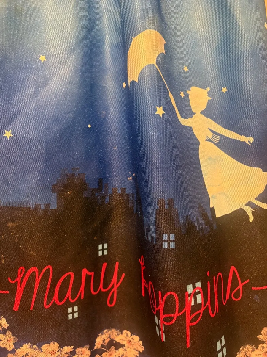 World Book Day - Mary Poppins - Image 3