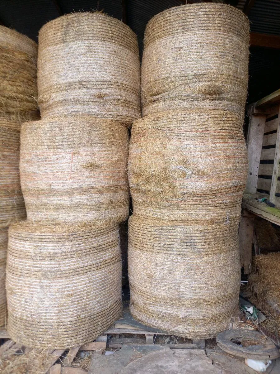 Hay for sale