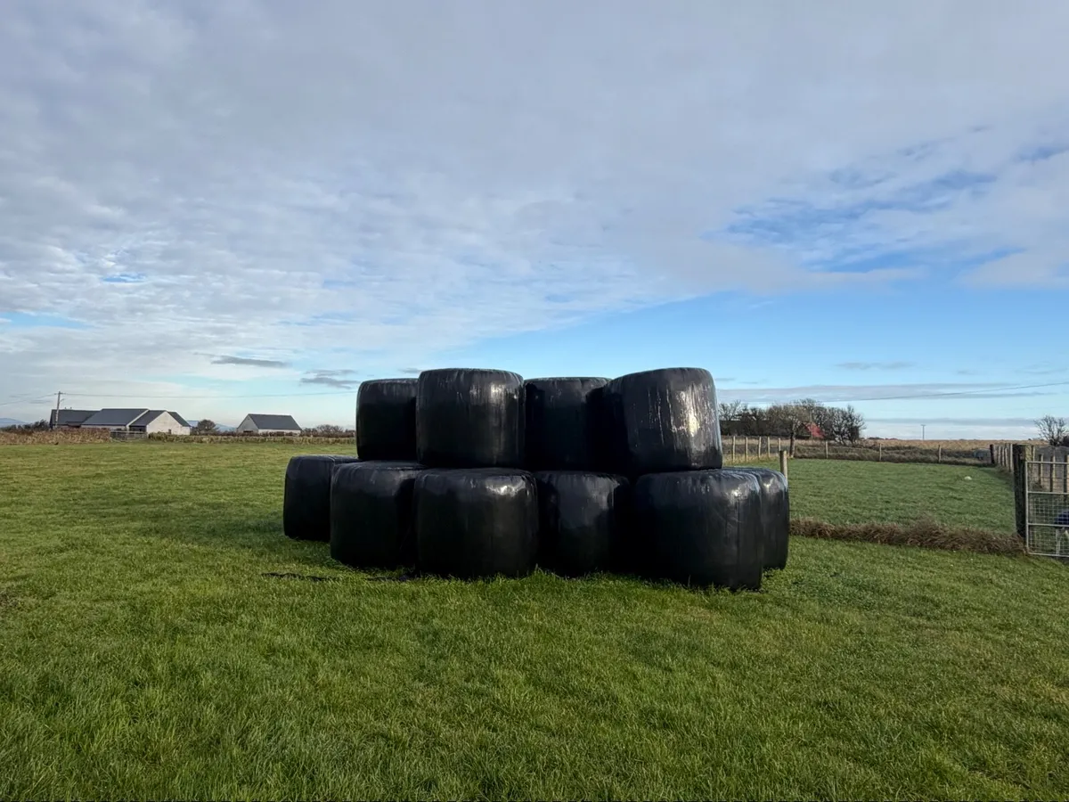 Silage
