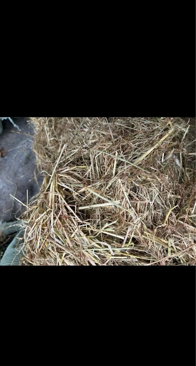Haylage - Image 4