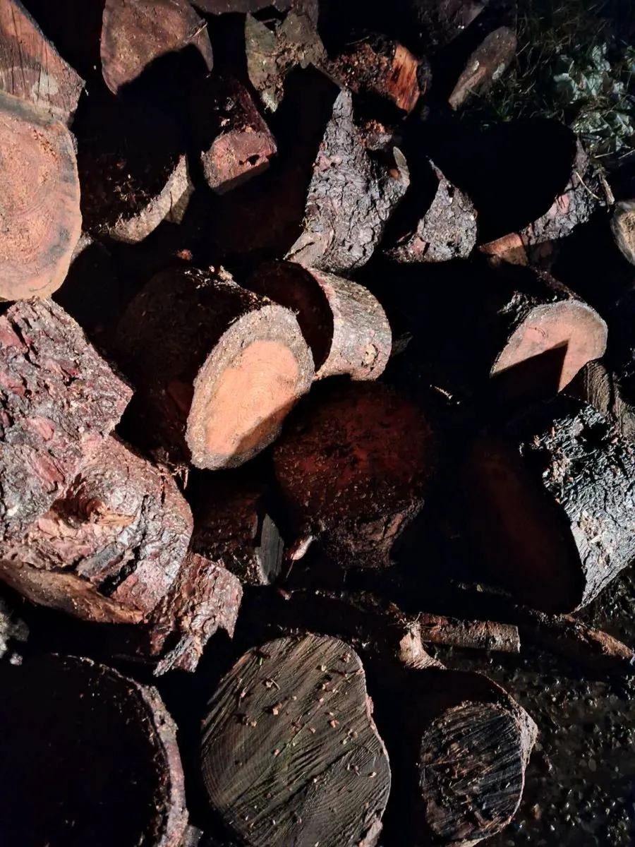 Firewood - Image 1