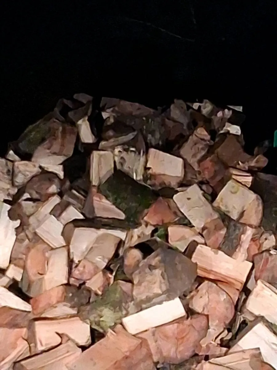 Firewood - Image 2