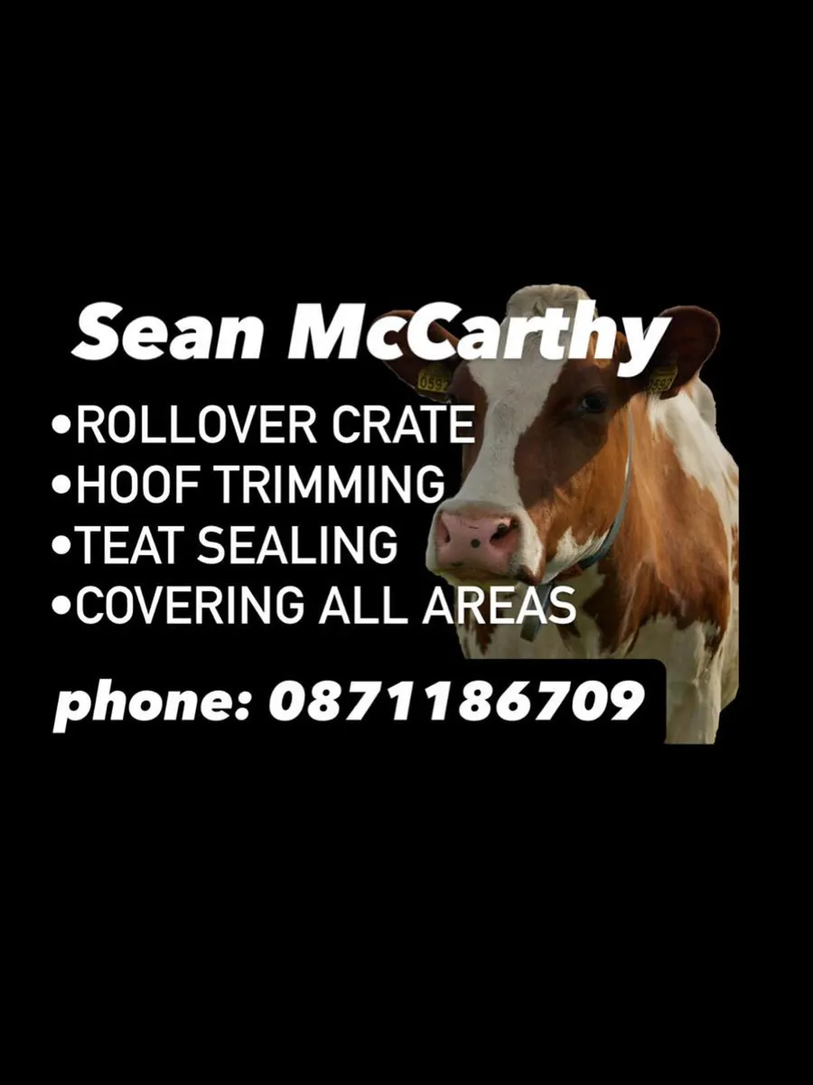 Hoof trimming - Image 1