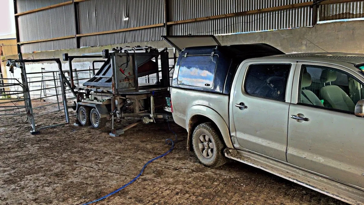 Hoof trimming - Image 2