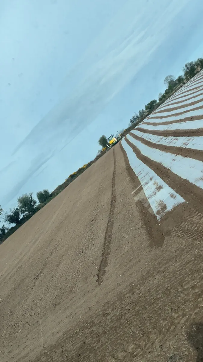 Land available to contract grow maize 2026 - Image 1