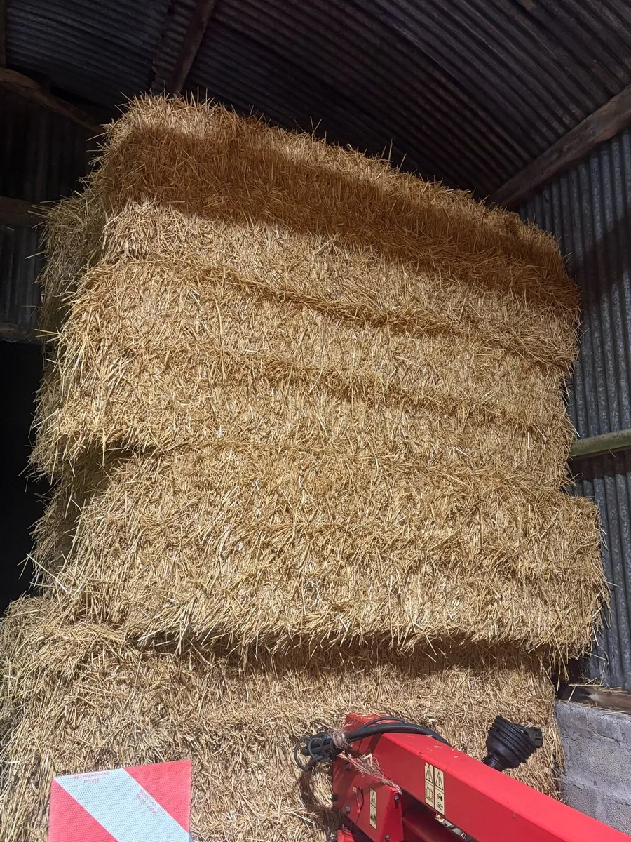 Straw - Image 1