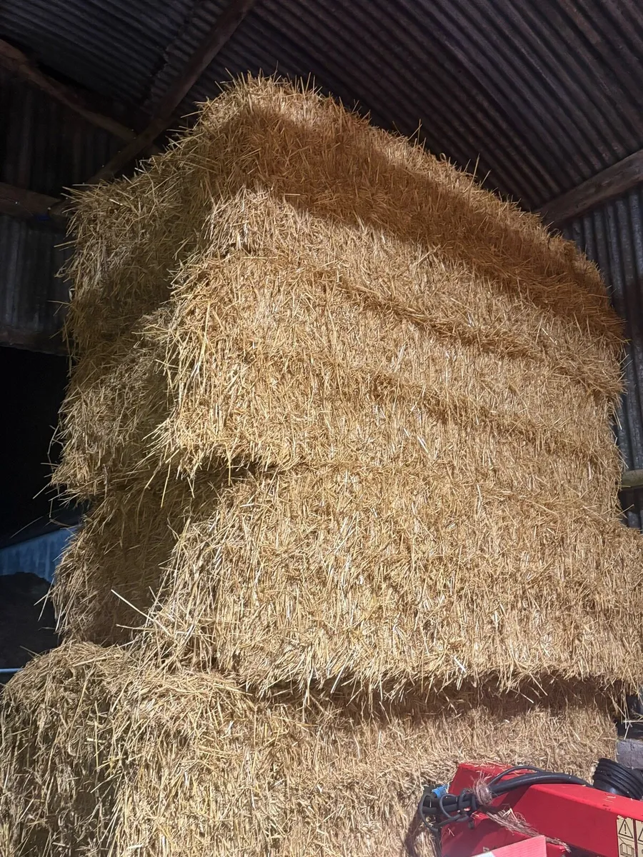 Straw - Image 2