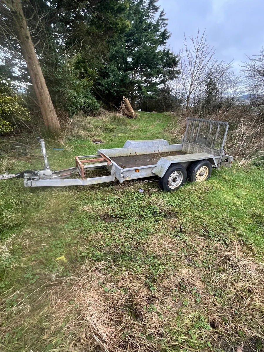 Plant trailer 8x4 - Image 2