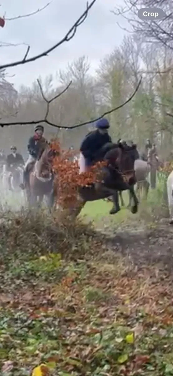 Riding horses - Image 2