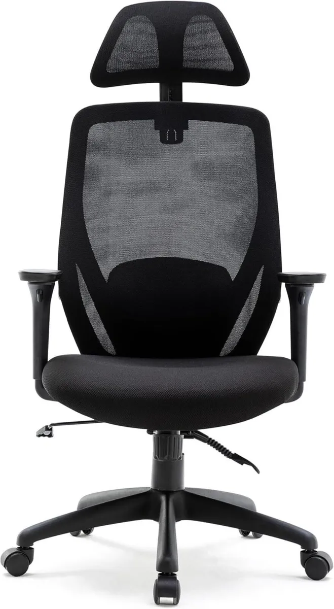 Recline Ergonomic Office Chair with Back Support - Image 1