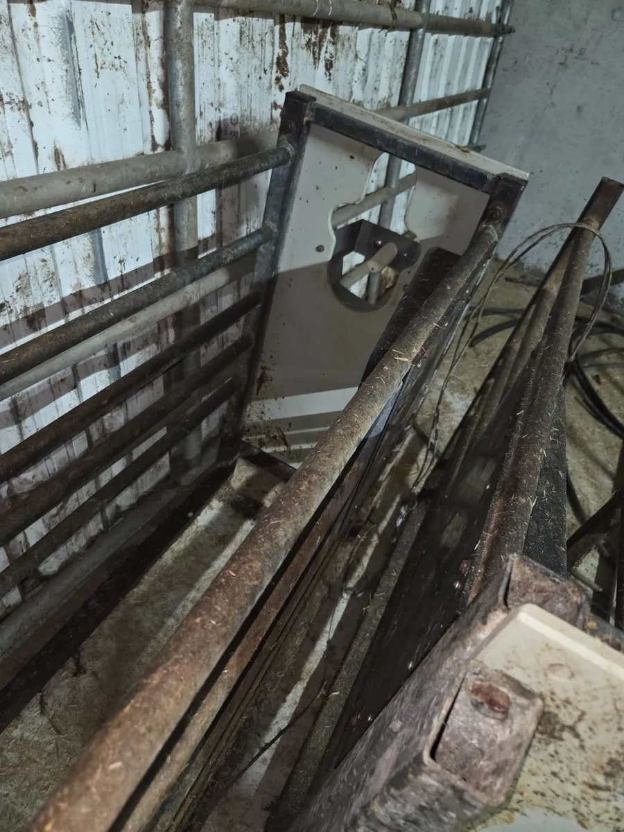 Automatic Calf feeder - Image 3