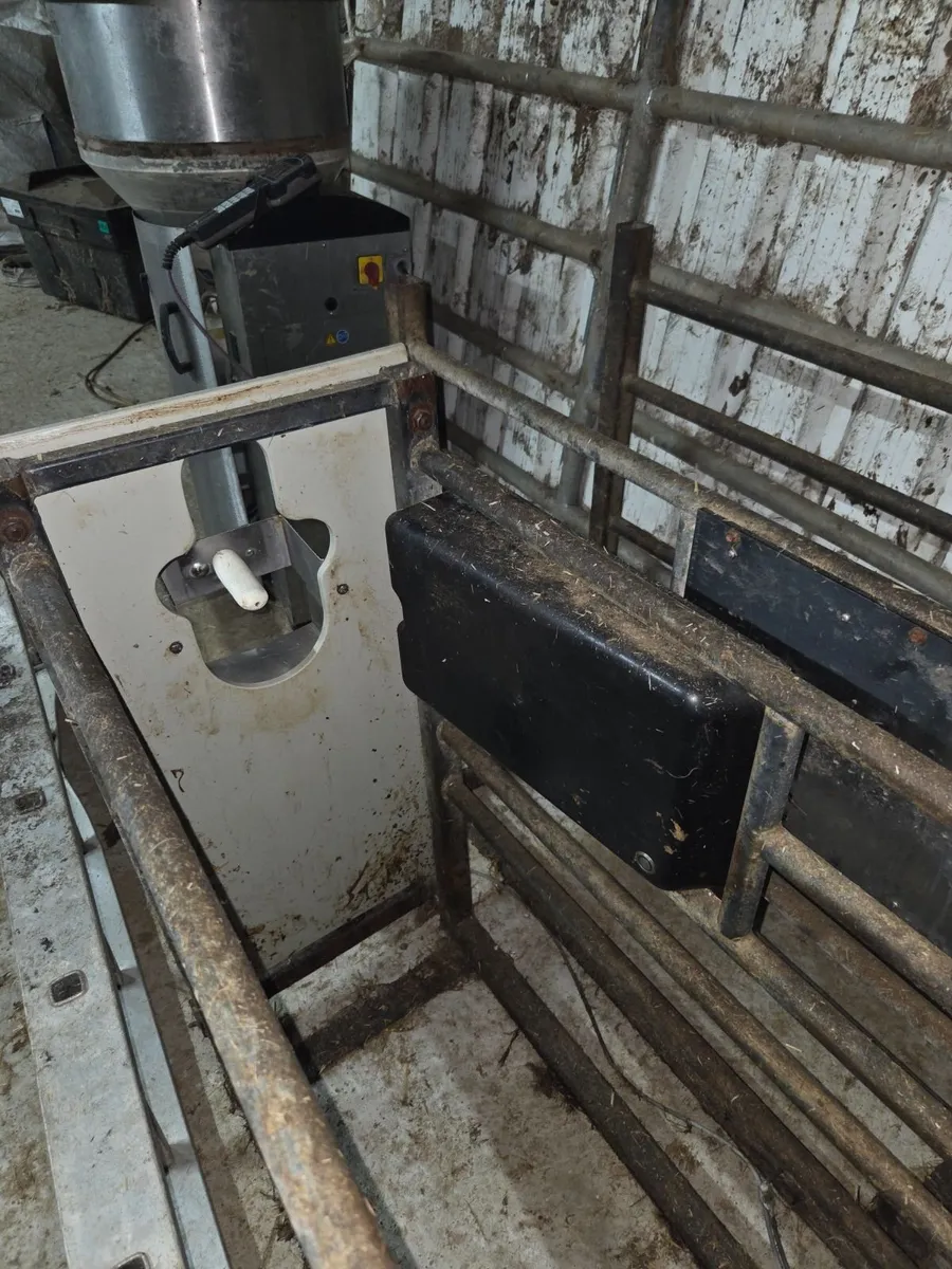 Automatic Calf feeder - Image 4