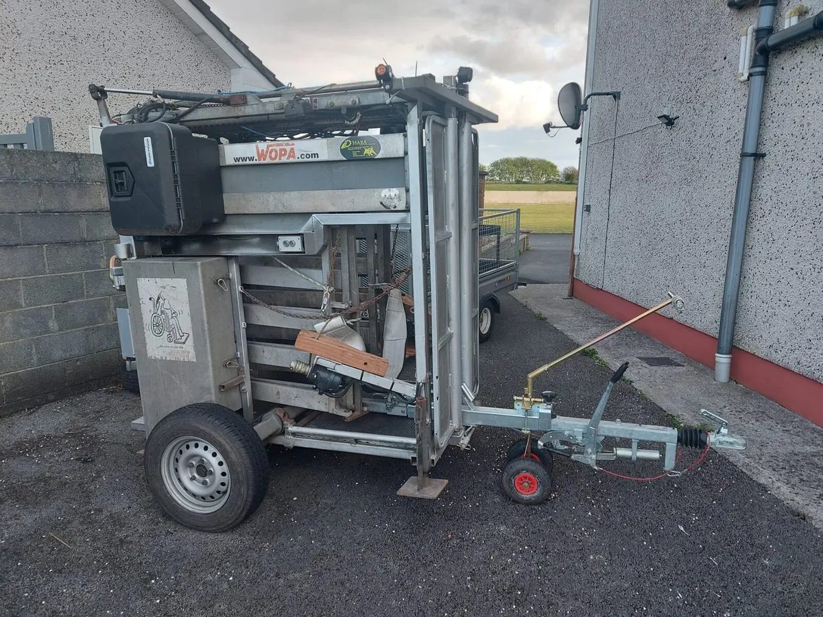 Wopa hoof trimming crate - Image 2